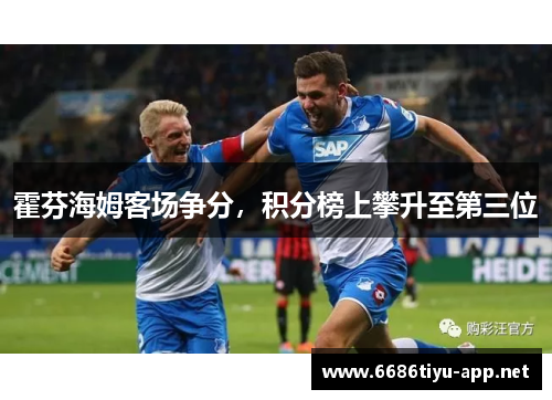 霍芬海姆客场争分，积分榜上攀升至第三位